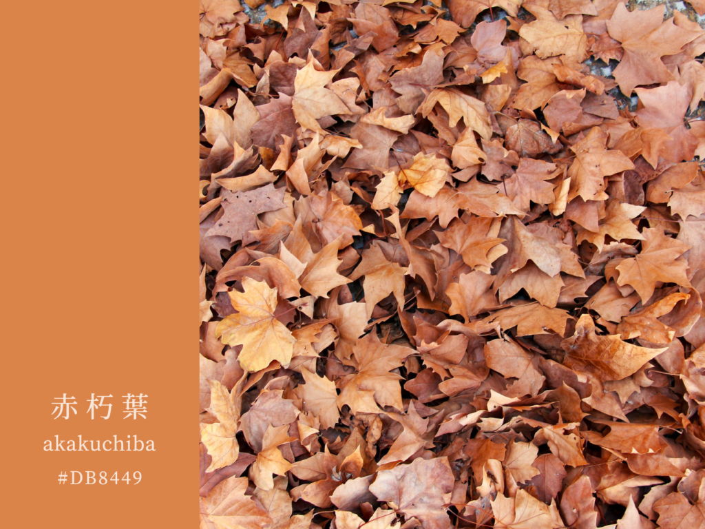 色彩文化 傷感朽葉色 日本傳統朽葉四十八色