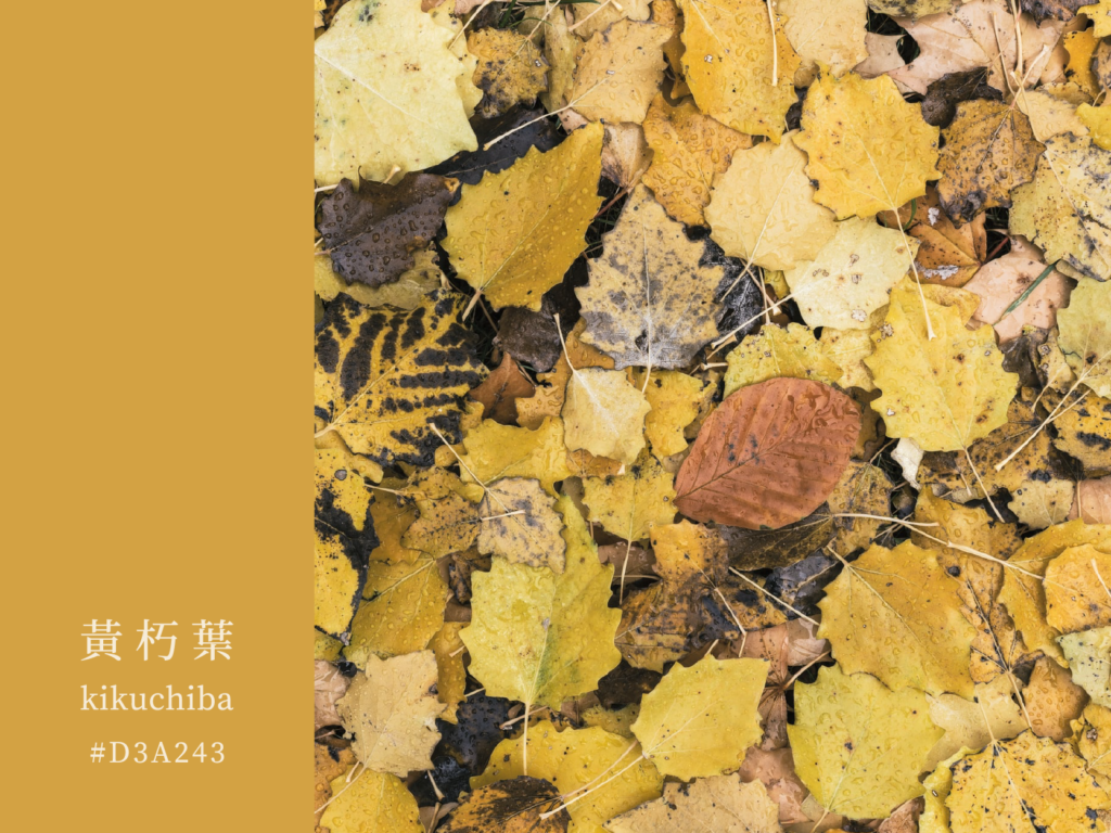 色見學-日本傳統色-朽葉色官網-黃朽葉